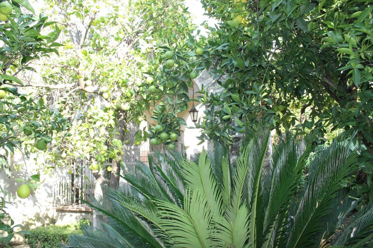 La Lanciolla Apartment Maddaloni Exterior foto